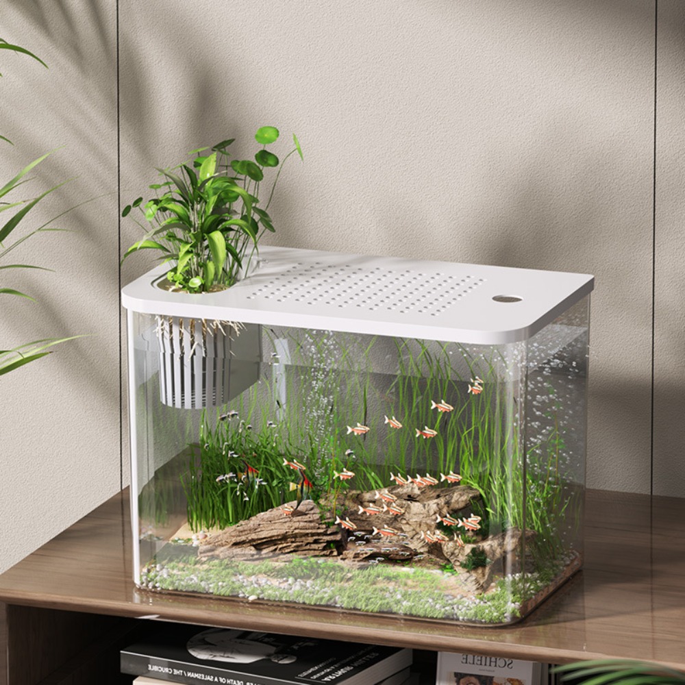 PET+ABS Fish Tank Transparent  - Aquarium Fish For Sale review and price