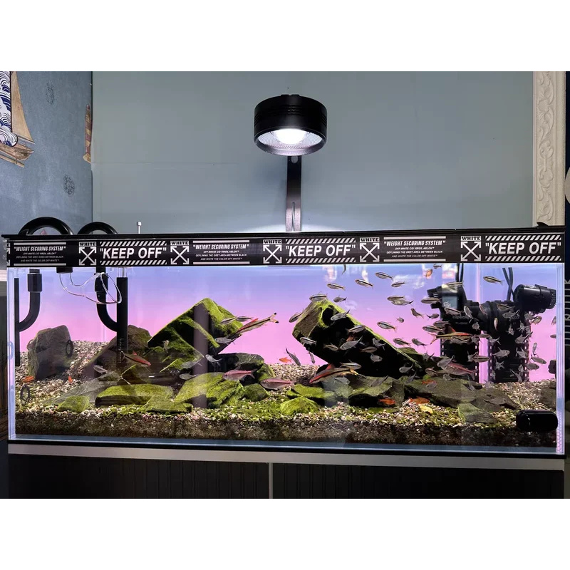 RGB Acrylic Fish Tank Backdrop - Aquarium Fish Colour review and price