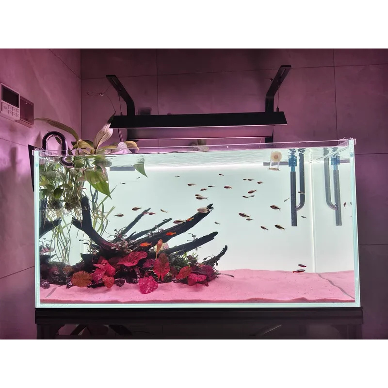 RGB Acrylic Fish Tank Backdrop - Aquarium Fish Colour review and price