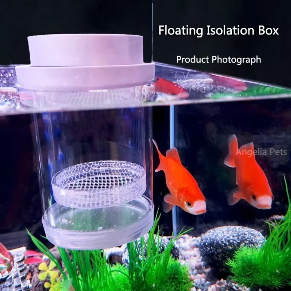 Plastic Floating Fish Breeding - Aquarium Fish Cave review and price