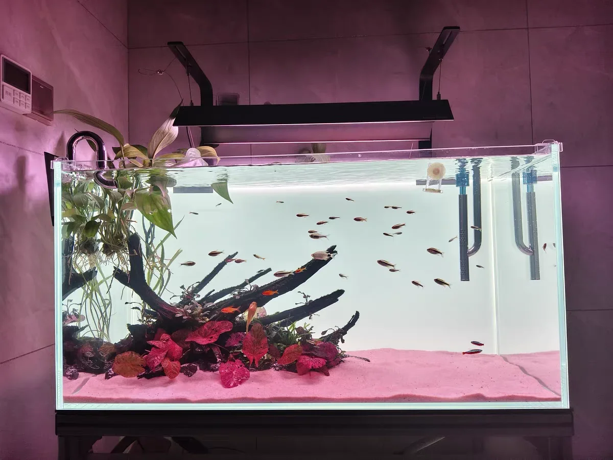 RGB Acrylic Fish Tank Backdrop - Aquarium Fish Colour review and price