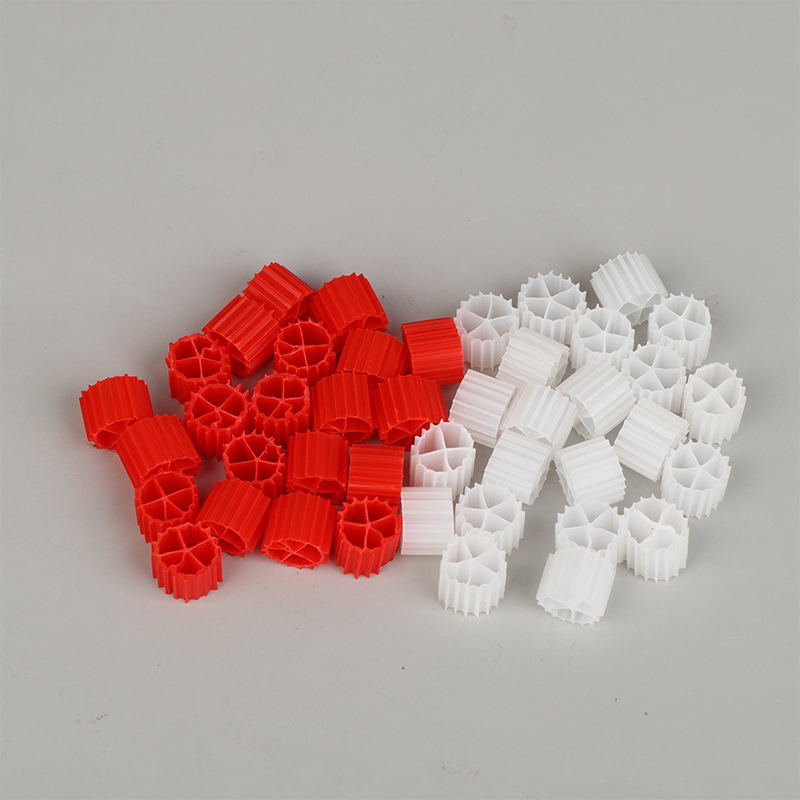 Hot Sale Wihte Red K1 Filter M - Aquarium Fish For Sale review and price