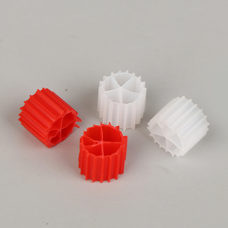 Hot Sale Wihte Red K1 Filter M - Aquarium Fish For Sale review and price