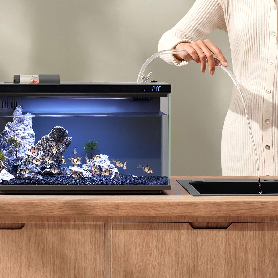 Xiaomi Mijia Smart Fish Tank M - Aquarium Fish App review and price