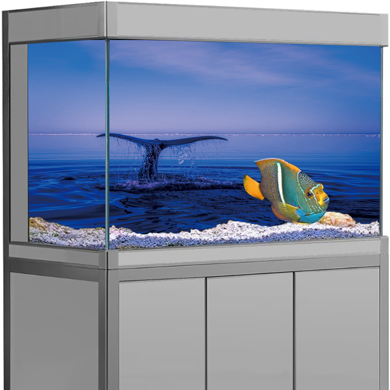 Aquarium Background Sticker Do - Aquarium Fish Dolphin review and price
