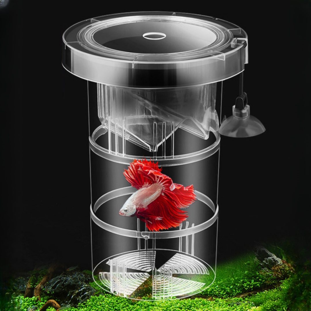 Acrylic Floating Fish Breeding - Aquarium Fish Marine review and price