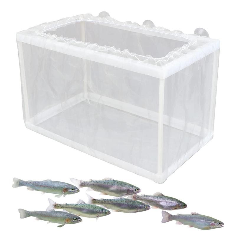 Fish Breeder Box with Suction, - Aquarium Fish For Sale review and price