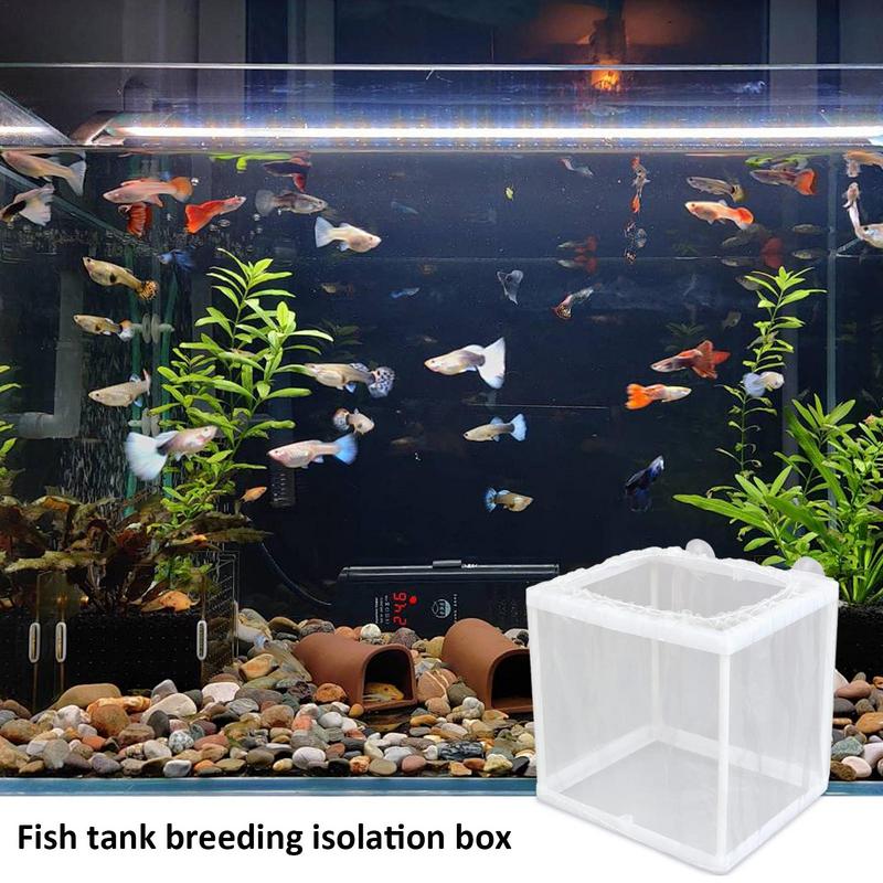 Fish Breeder Box with Suction, - Aquarium Fish For Sale review and price