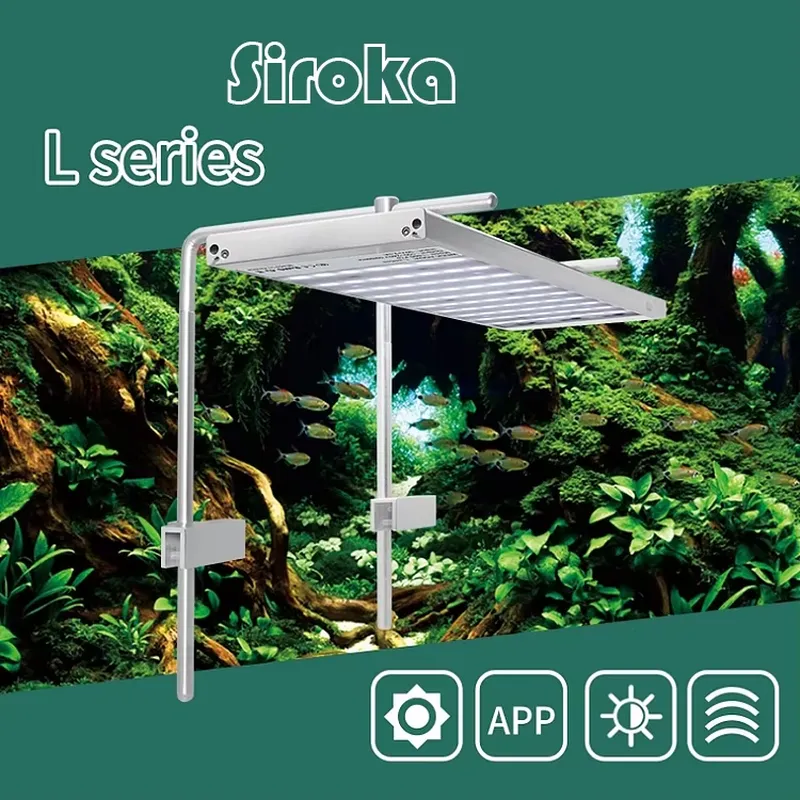 Hot Sale Silver 55W-110W Dimma - Aquarium Fish For Sale review and price