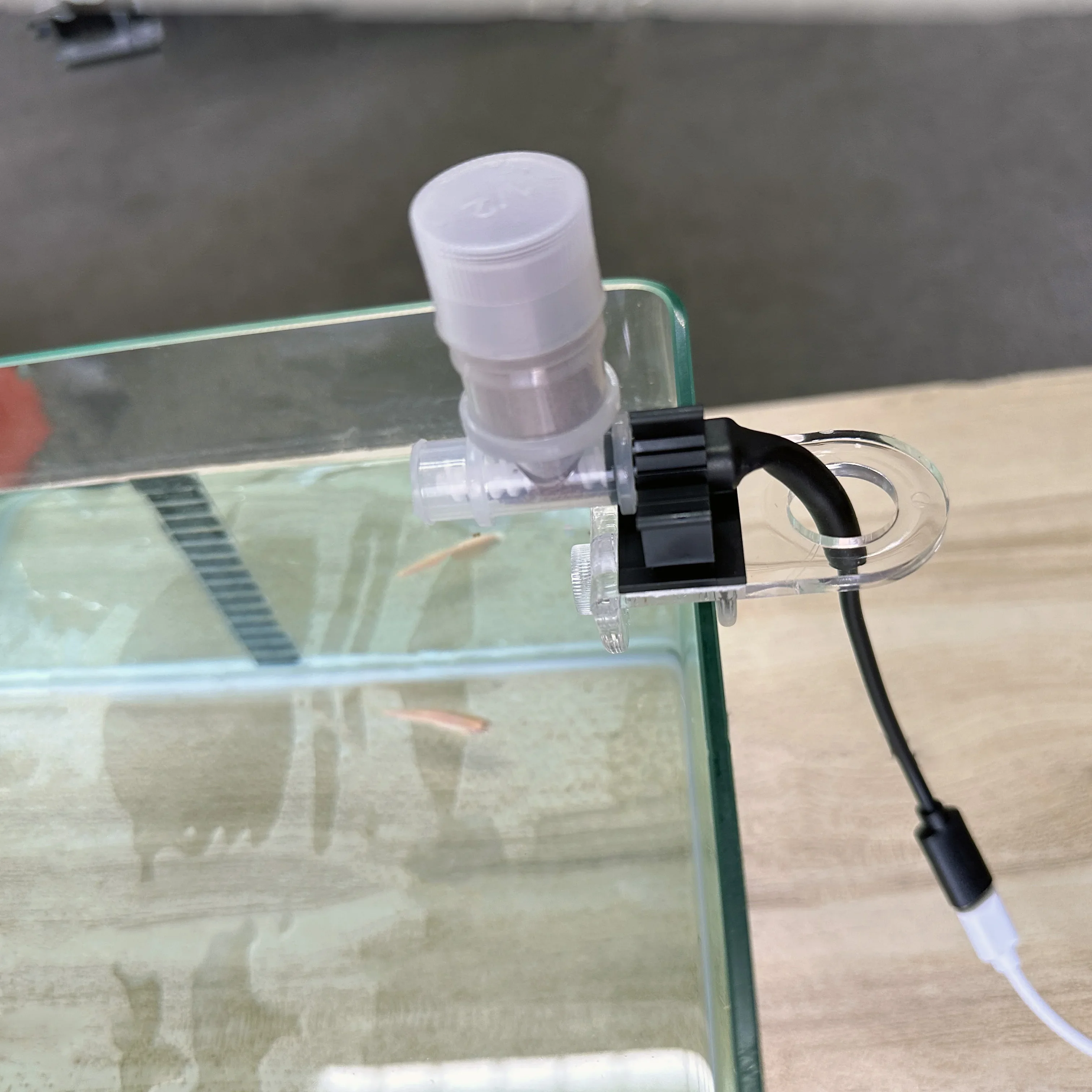 Best Automatic Fish Feeder - W - Aquarium Fish Feeder Automatic review and price