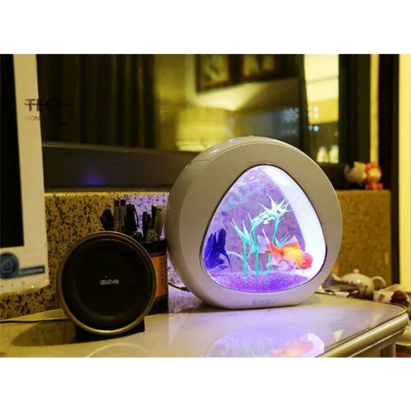 SUNSUN acrylic aquarium ecolog - Aquarium Fish Big review and price