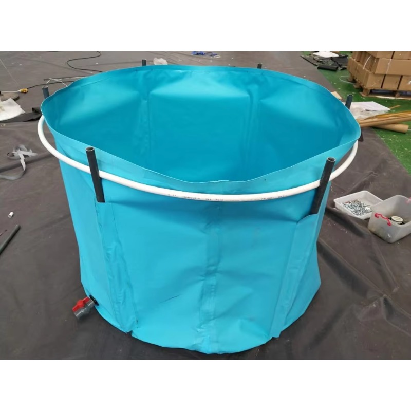 Wholesale Custom Outdoor Large - Aquarium Fish Big Size review and price