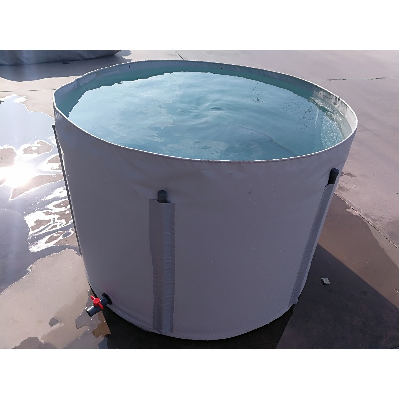 Wholesale Custom Outdoor Large - Aquarium Fish Big Size review and price